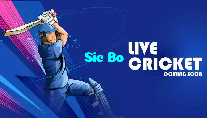 Sic Bo خوش آمدید بونس +600% پیشکش موبائل ایپ کے پروموشن سیکشن میں دکھائی دیتی ہے۔